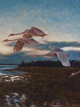 Bruno Liljefors, Twilight landscape with stretching swans.