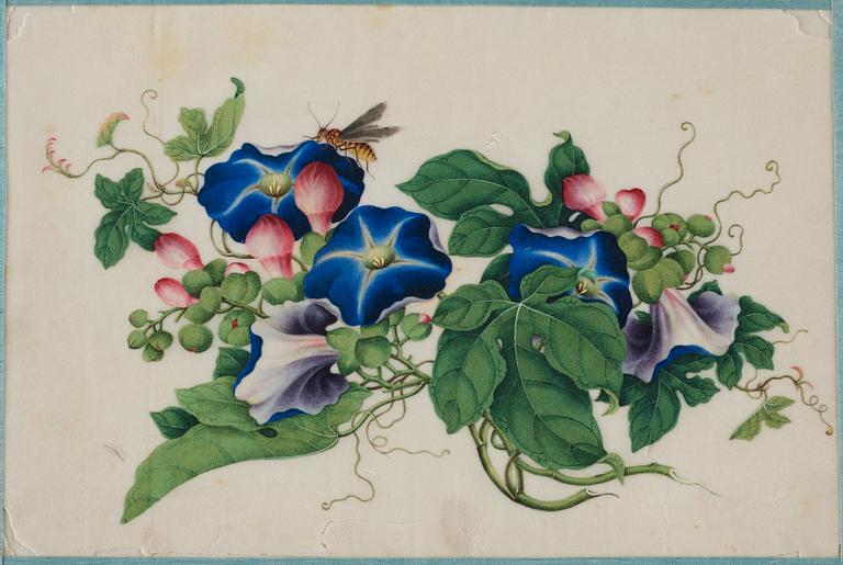 Four watercolour and ink on ricepaper paintings by unknown artist, Qing dynasty, 19th Century.