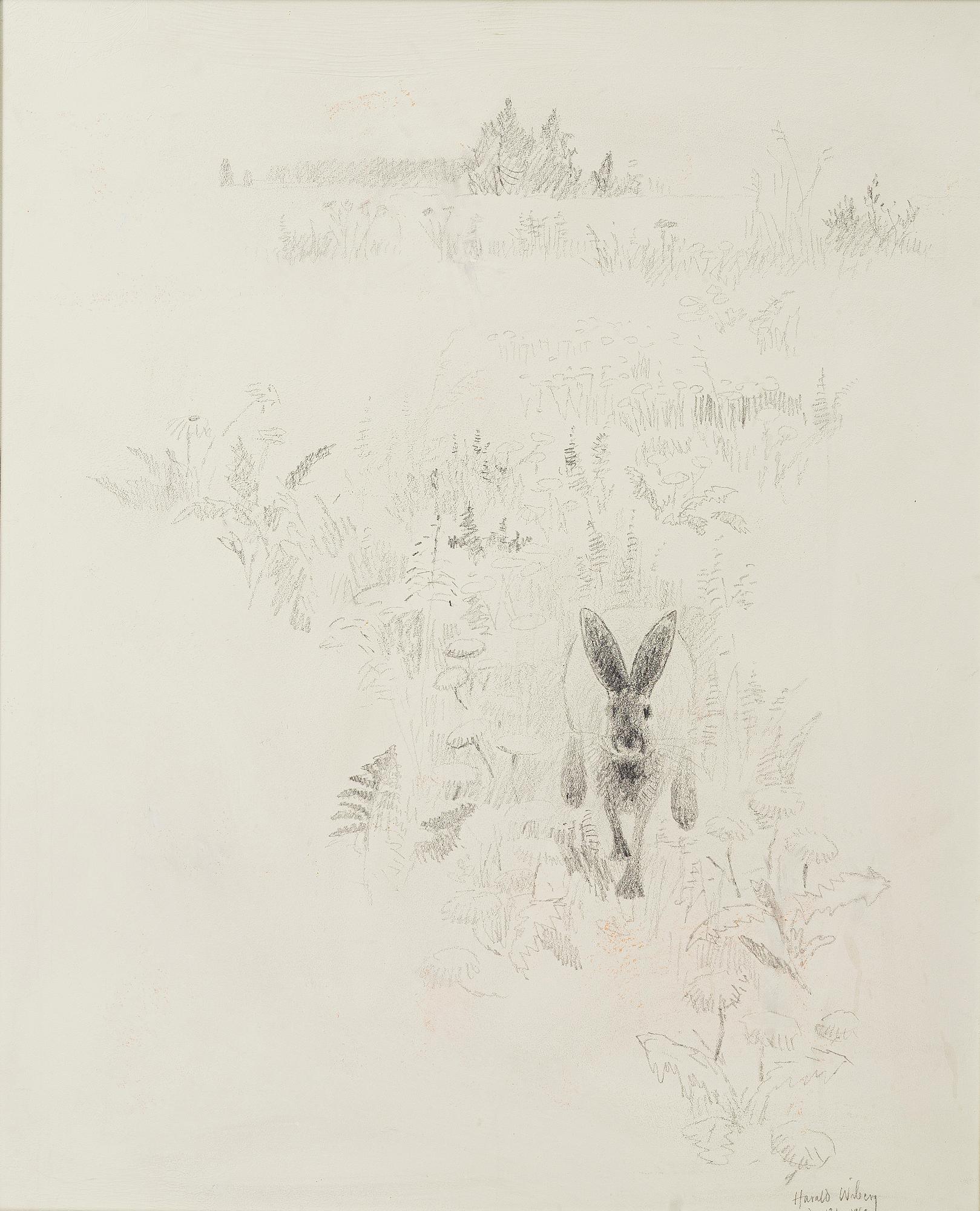 Harald Wiberg, Hare på fält.