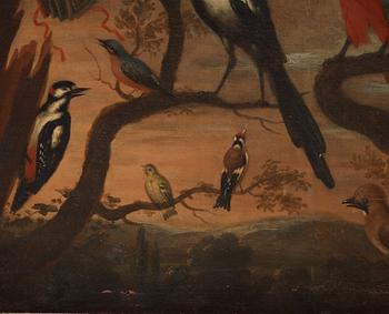 Melchior de Hondecoeter Follower of, Bird concert.