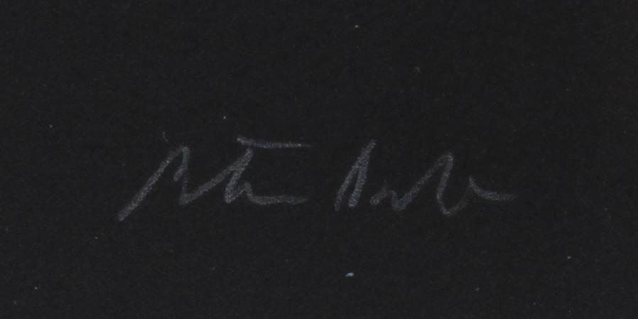 PETER DAHL, färglitografi, sign o numr 275/375.