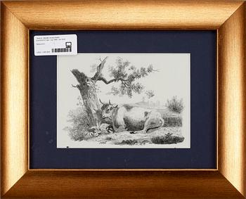 OKÄND KONSTNÄR, blyertsteckningar, sign SML, dat 1835.