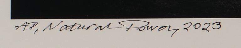 Björn Persson, "Natural Power", 2023.