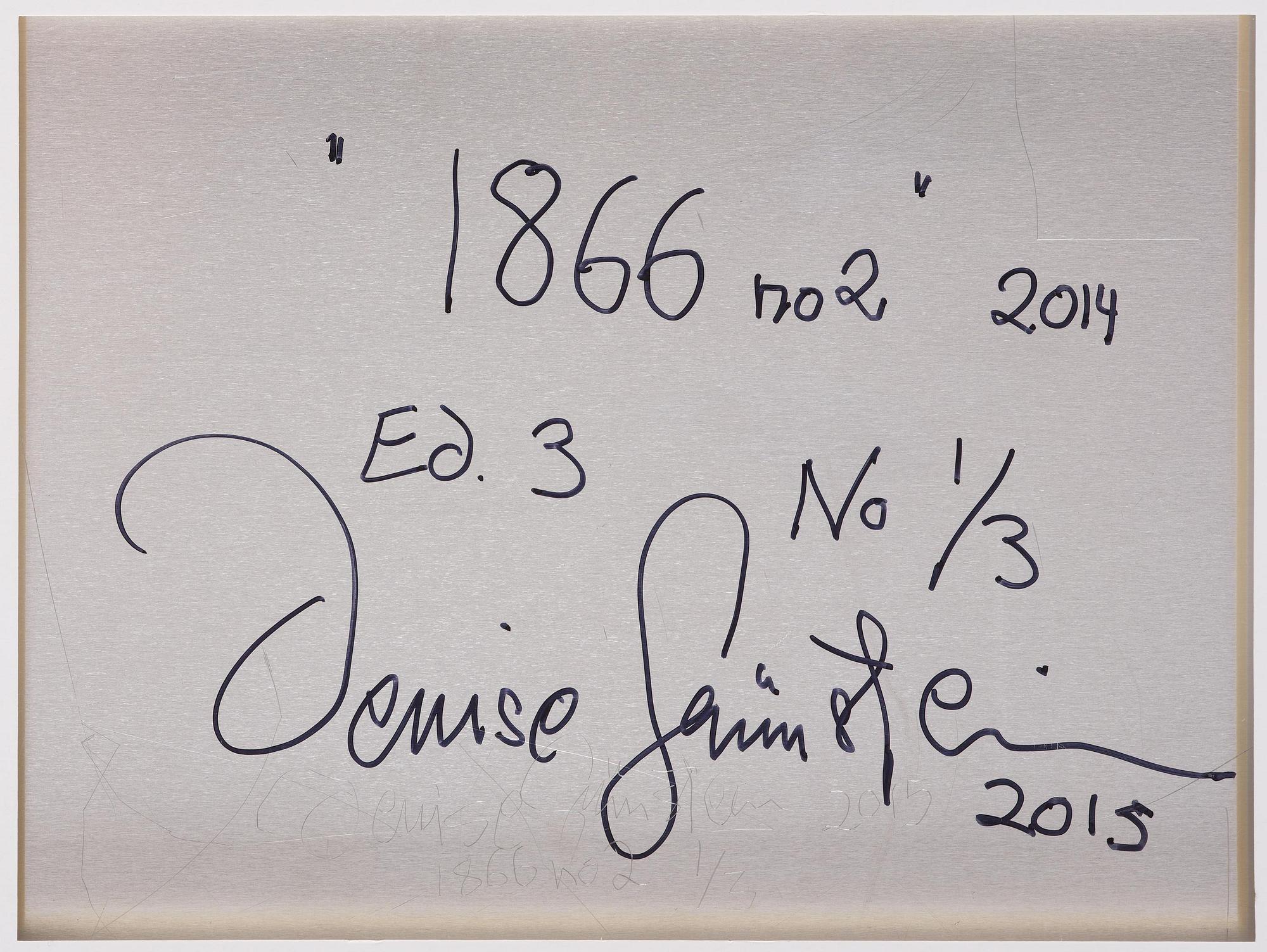 Denise Grünstein, "1866 No. 2", 2014.