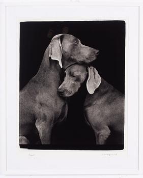 William Wegman, "Friends".