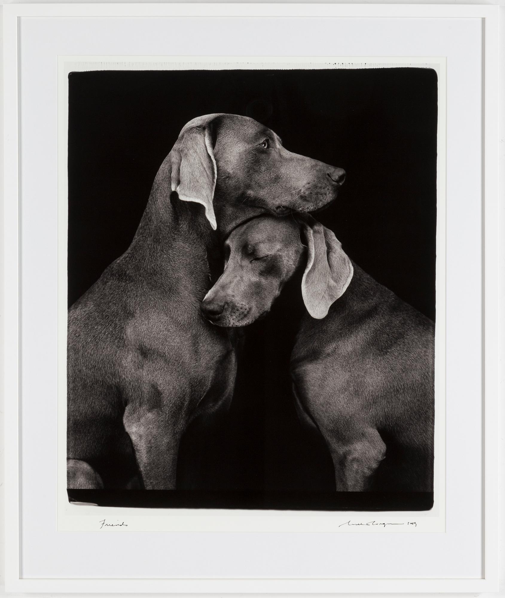 WILLIAM WEGMAN, fotografi, signerat och daterat -09.