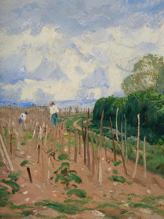 Wilhelm Behm, Vineyards, Suresnes.