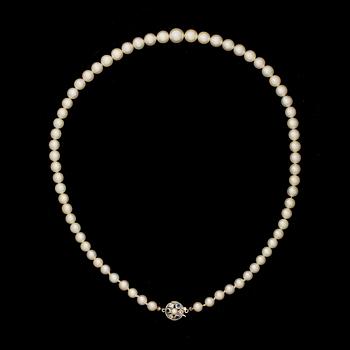 COLLIER, odlade pärlor, lås i 18 k vitguld med blåa samt vita stenar.