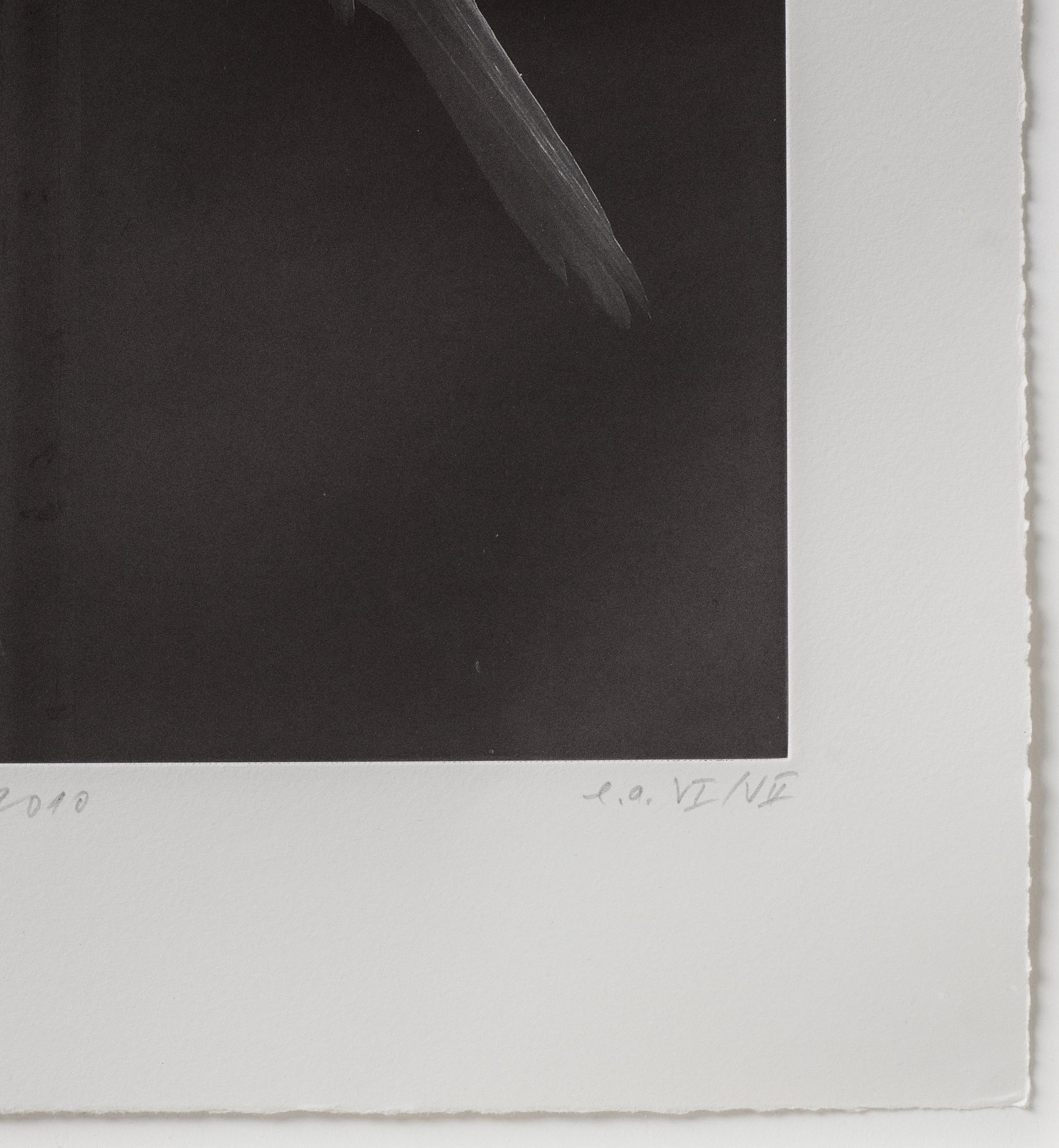 Carsten Höller, "Black Canary" from the series "Canaries".