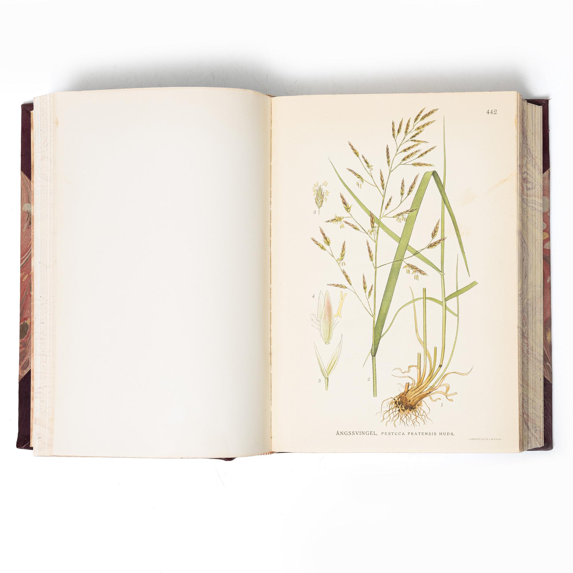 Books, 3 volumes. C.A.M. Lindman, *Bilder ur Nordens Flora*, 1922 and 1926 respectively.