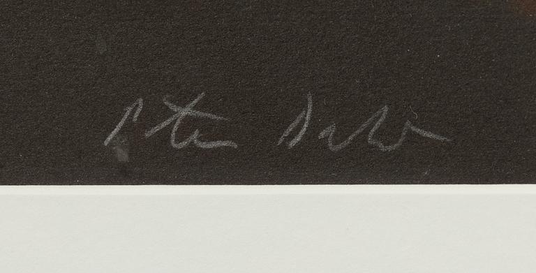 Peter Dahl, lithograph in colours, signed and numbered EA XVI/XXXVII.