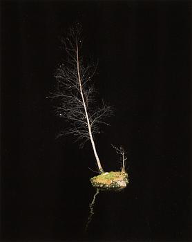 Klara Källström & Thobias Fäldt, photograph signed and numbered 1