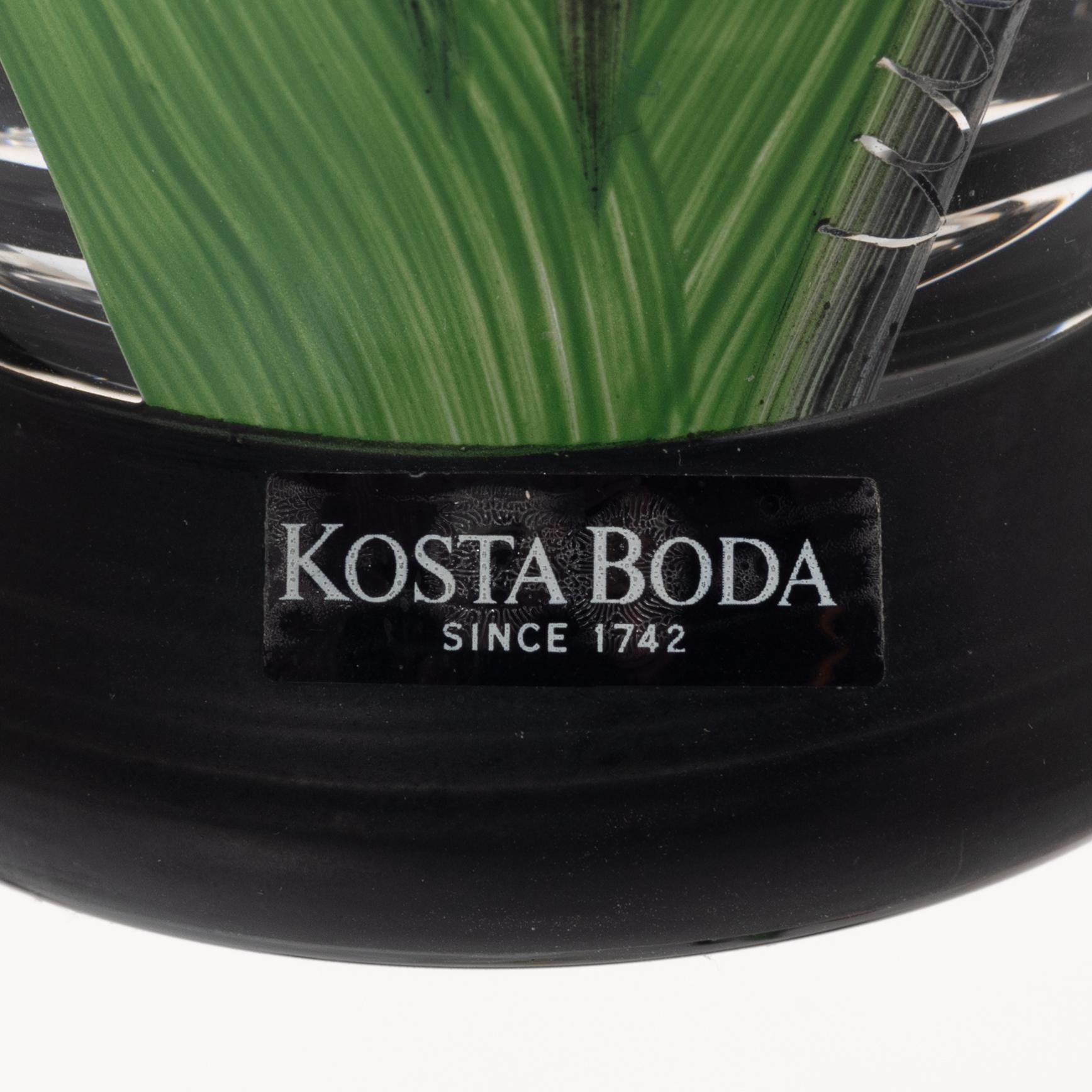 Ulrica Hydman-Vallien, matservis, 42 delar, glas, modell "Tulipa", Kosta Boda.