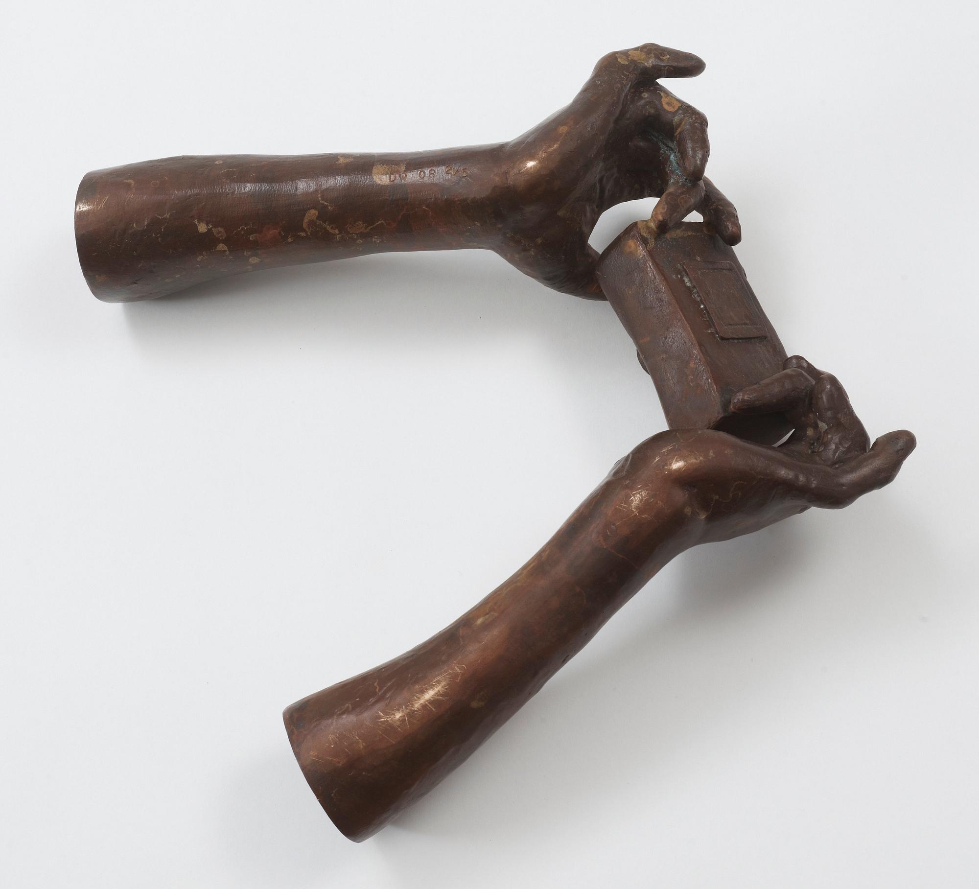 Dan Wolgers, "Sagesman (armar med kamera)".