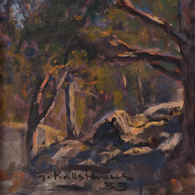 Gottfrid Kallstenius, Motif from Järlasjön.