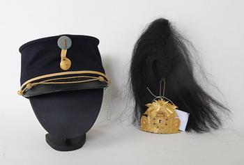 SKÄRMMÖSSA och PLYM.