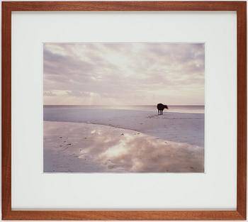 Anders Krisár, photograph signed and numbered 09/24 on verso.