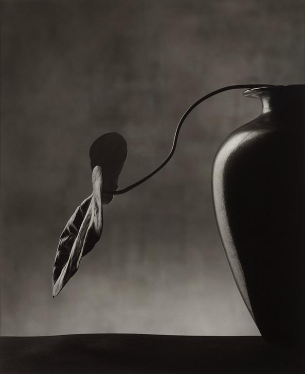 Christian Coigny, "Vase Noir", 1988.