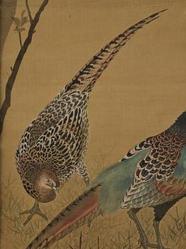 Unidentified artist, 'Pheasant pair', China, late Qing dynasty/circa 1900.