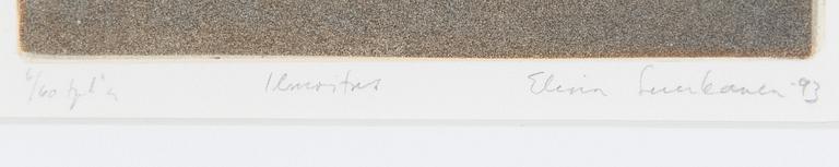 Elina Luukanen, "Ilmoitus" (Notice).