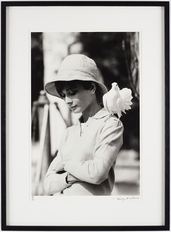 Terry O'Neill, "Audrey Hepburn with dove, St Tropez", 1967.