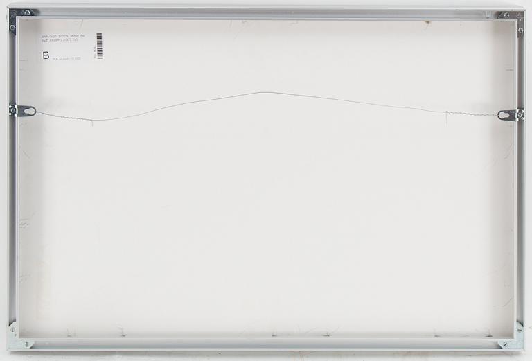 Ann-Sofi Sidén, "After the fact" (Alarm), 2007.