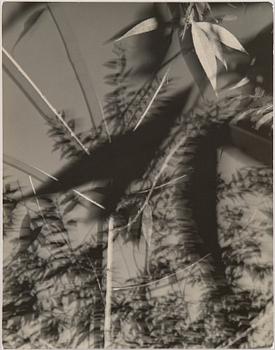 Åke E:son Lindman, Gelatin silver print, signed and dated 1989.