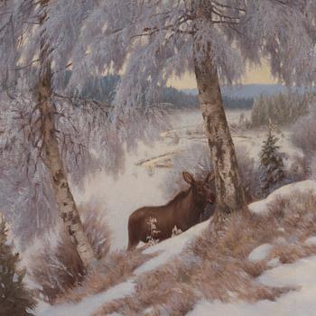 Axel Borg, Elks in winter landscape.