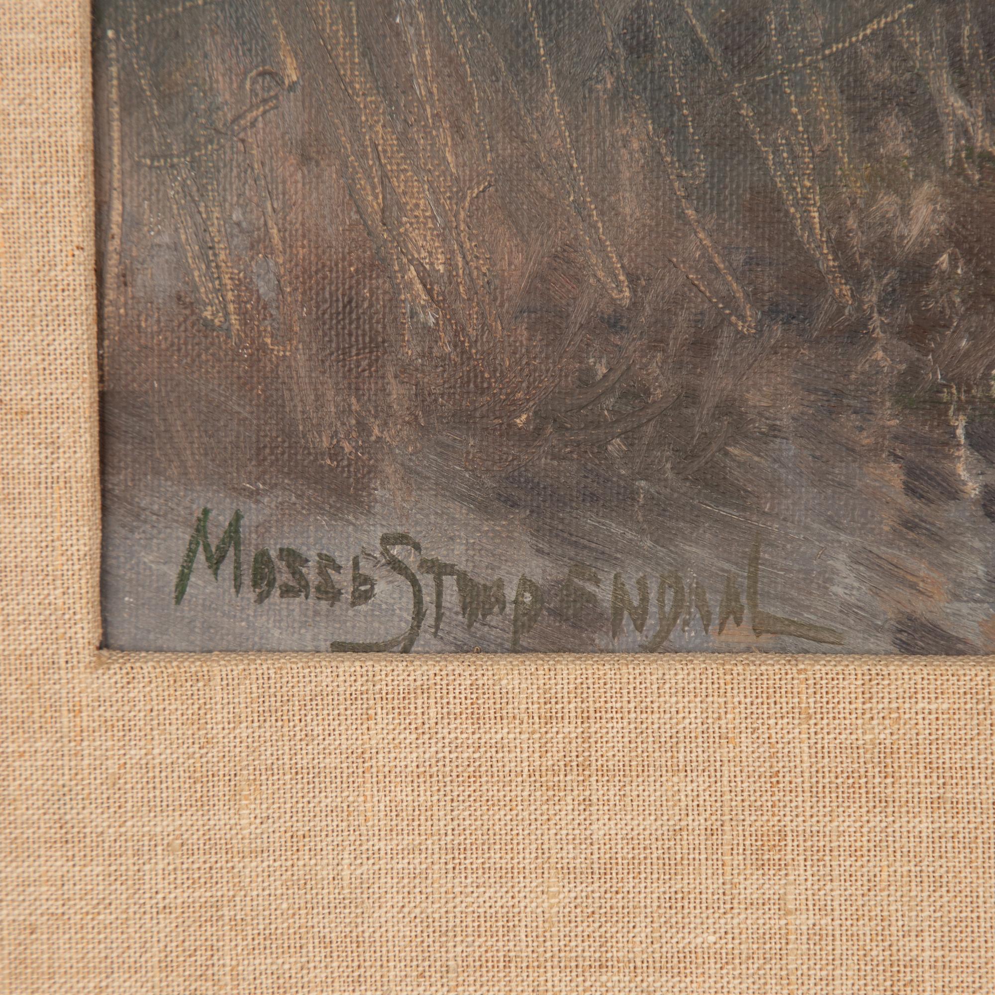 Mosse Stoopendaal, Lifting Mallards.