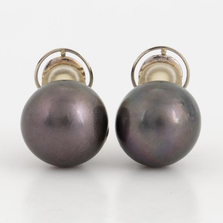 Cultured Tahiti pearl earrings.