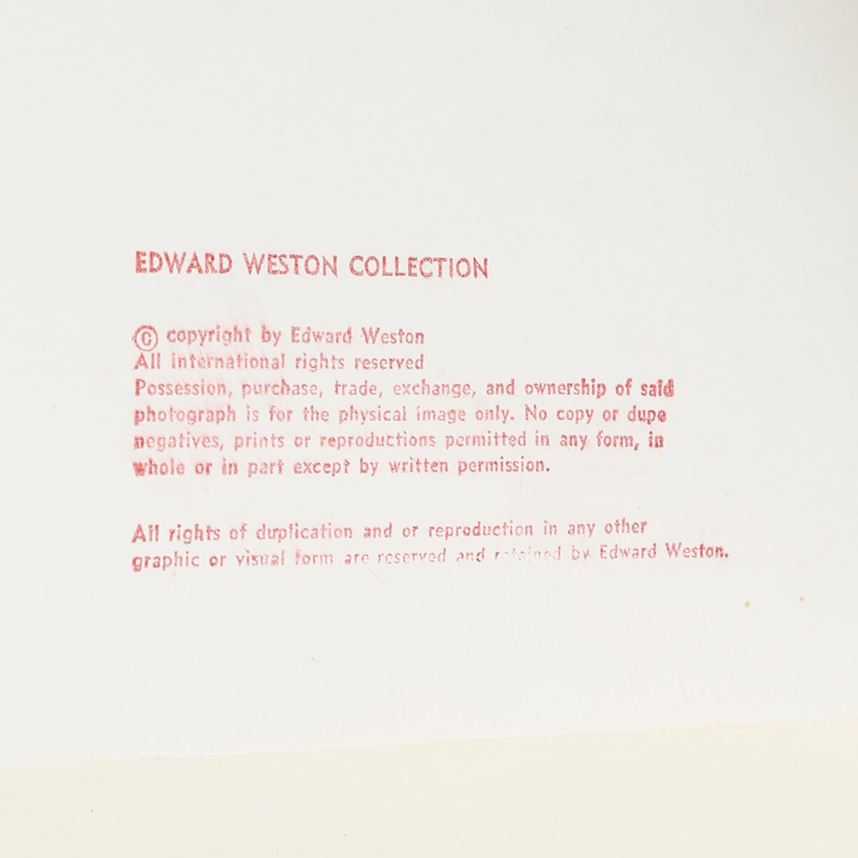 CLARENCE SINCLAIR BULL, fotografi, "The Koral collection", numrerad 62/99, stämplad à tergo.