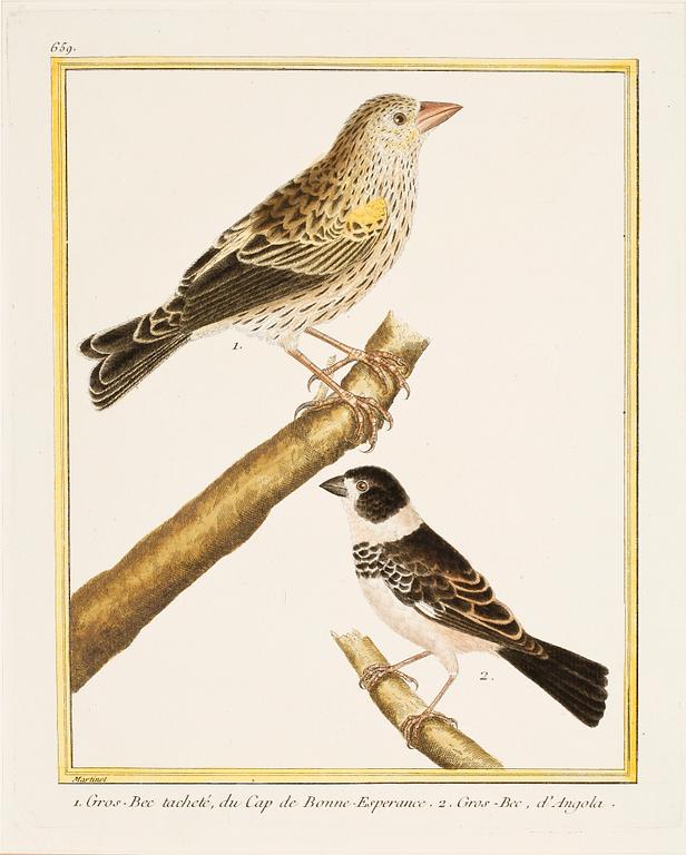 FRANCOIS NICOLAS MARTINET, 3 st handkolorerade planscher, signerade.