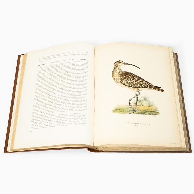 The von Wright brothers, book work, 3 volumes, "Swedish Birds", A. Börtzells tryckeri AB, Stockholm, 1927-1929.
