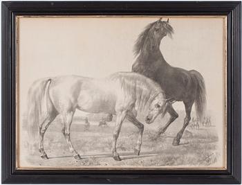 Oscar Leonard Andersson · OSCAR ANDERSSON, litografi, sign o dat 1868 i trycket.