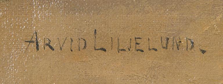 Arvid Liljelund, The Old Bridge over Jyränki.