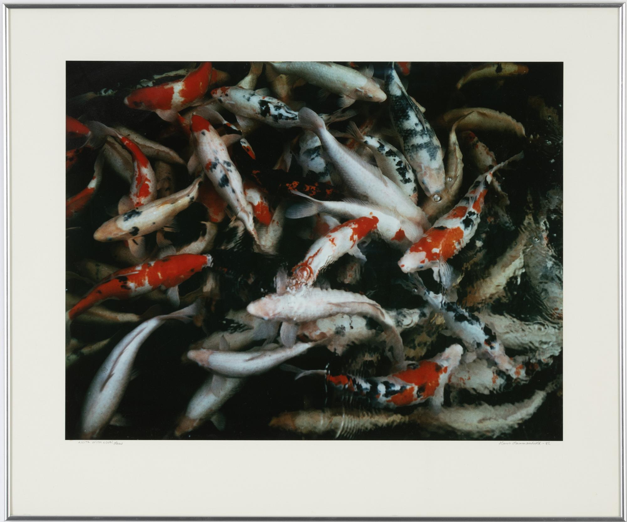 Hans Hammarskiöld, photograph signed and dated -82.