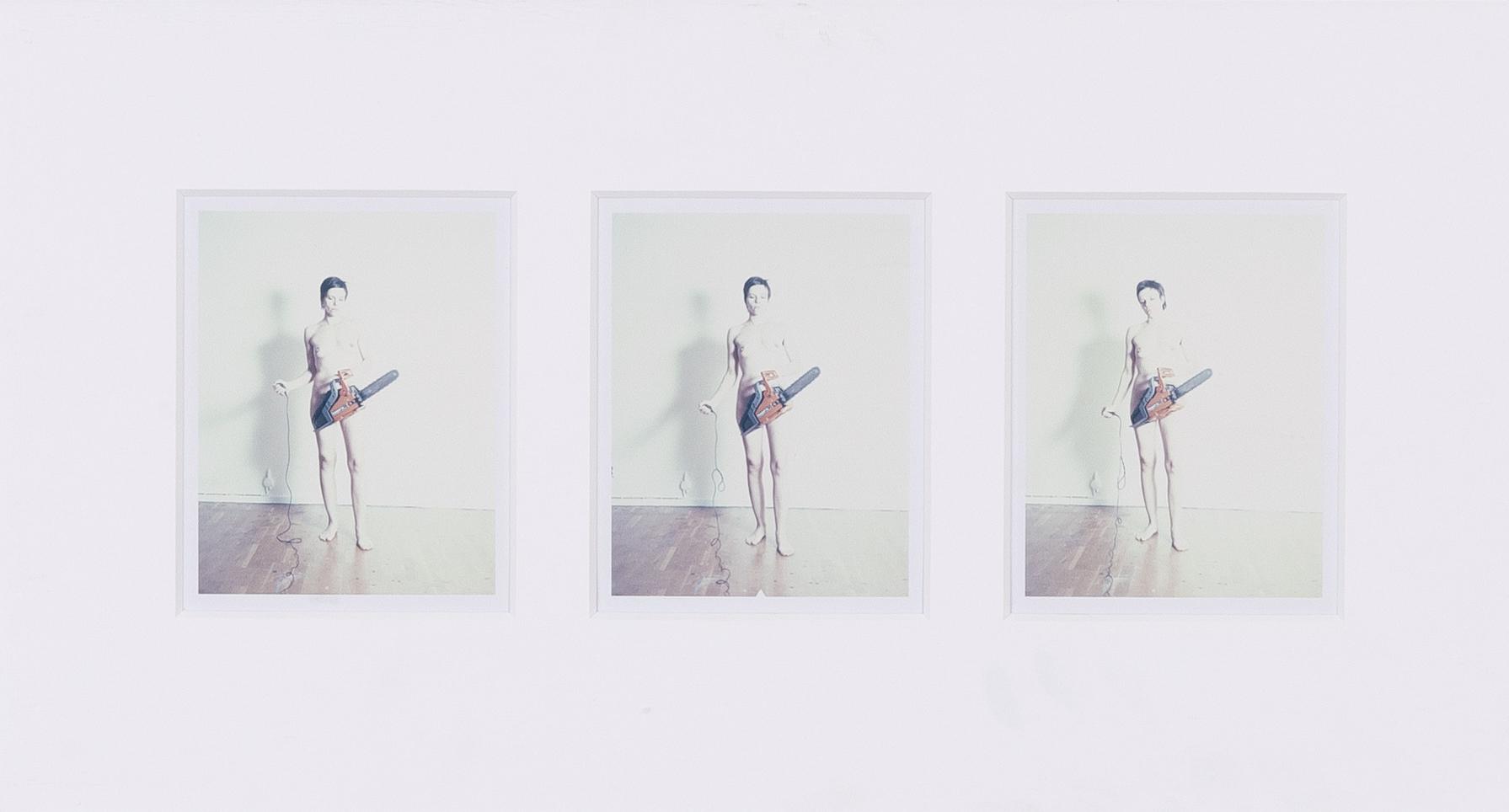 Annika Elisabeth von Hausswolff, "Det sista självporträttet".