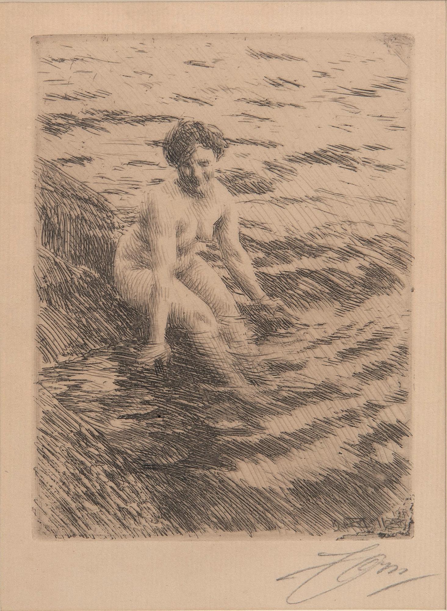 Anders Zorn, Wet.