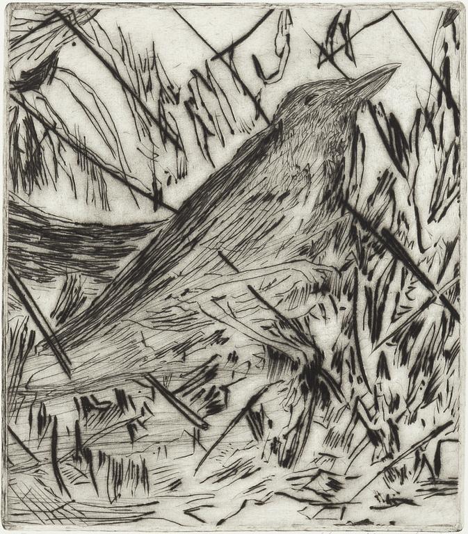 Hans Wigert, bird.