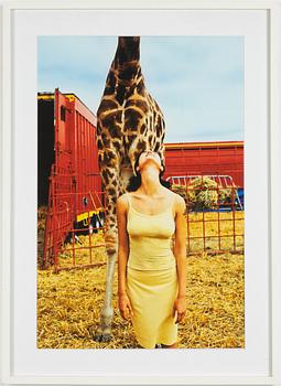 Heinz Angermayr, "Giraffhals".