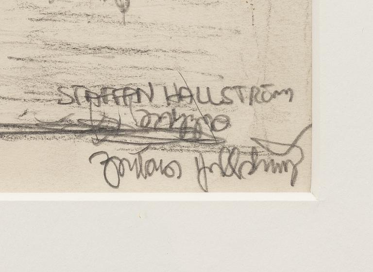 Staffan Hallström, Untitled.