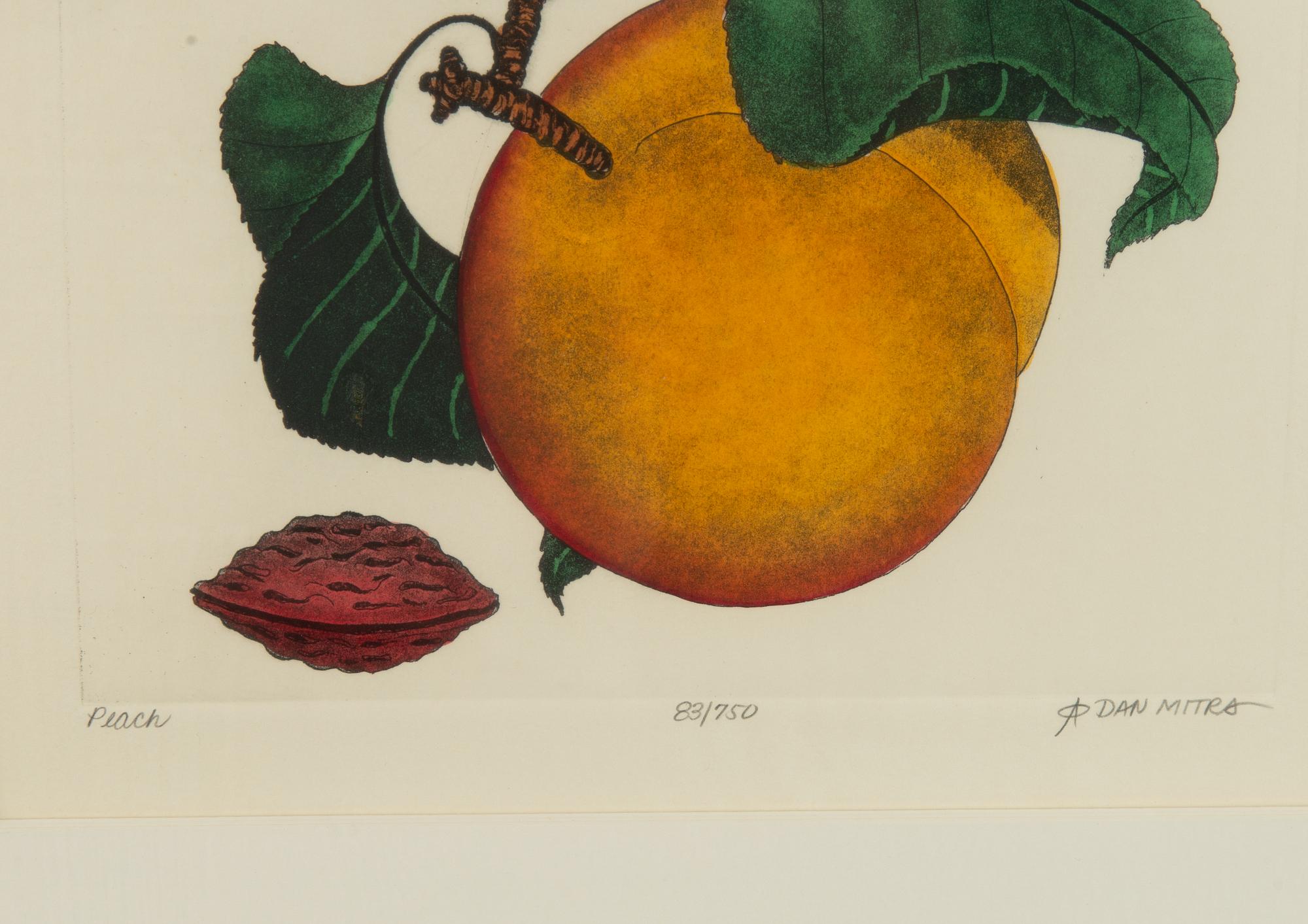 Dan Mitra, a suite of six etchings, framed together.