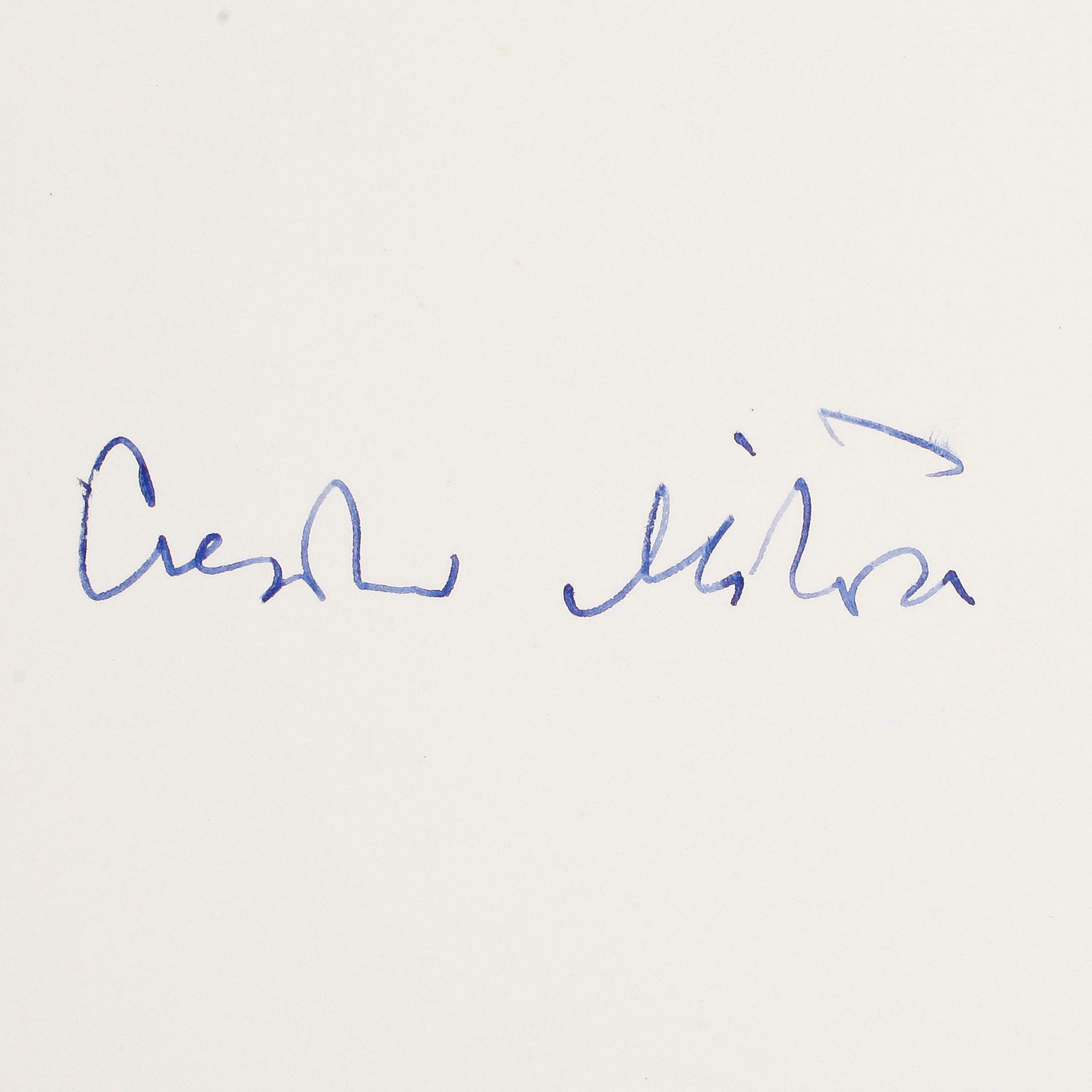NOBELPRISTAGARE I LITTERATUR, 17 st, bla Knut Hamsun och Jean Paul Sartre, egenhändiga.