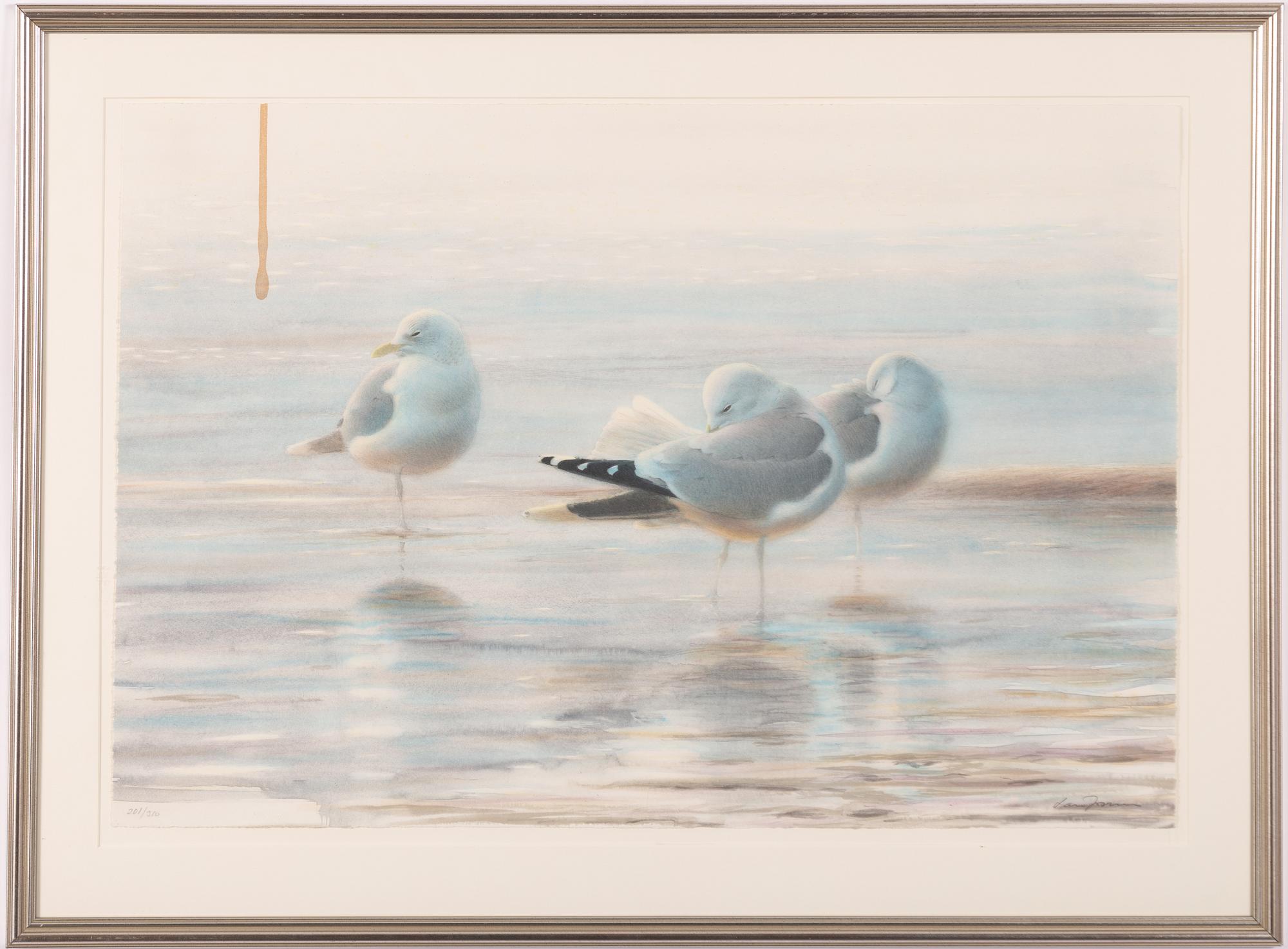 Lars Jonsson, Resting Seagulls.