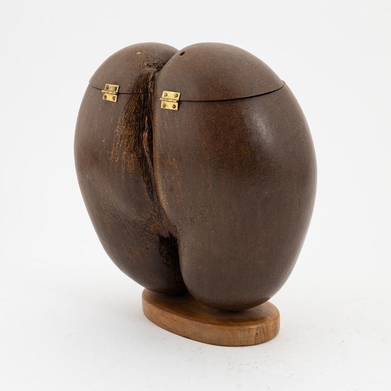 Ask, dubbelkokosnöt, så kallad Coco de Mer, Lodoicea maldivica.