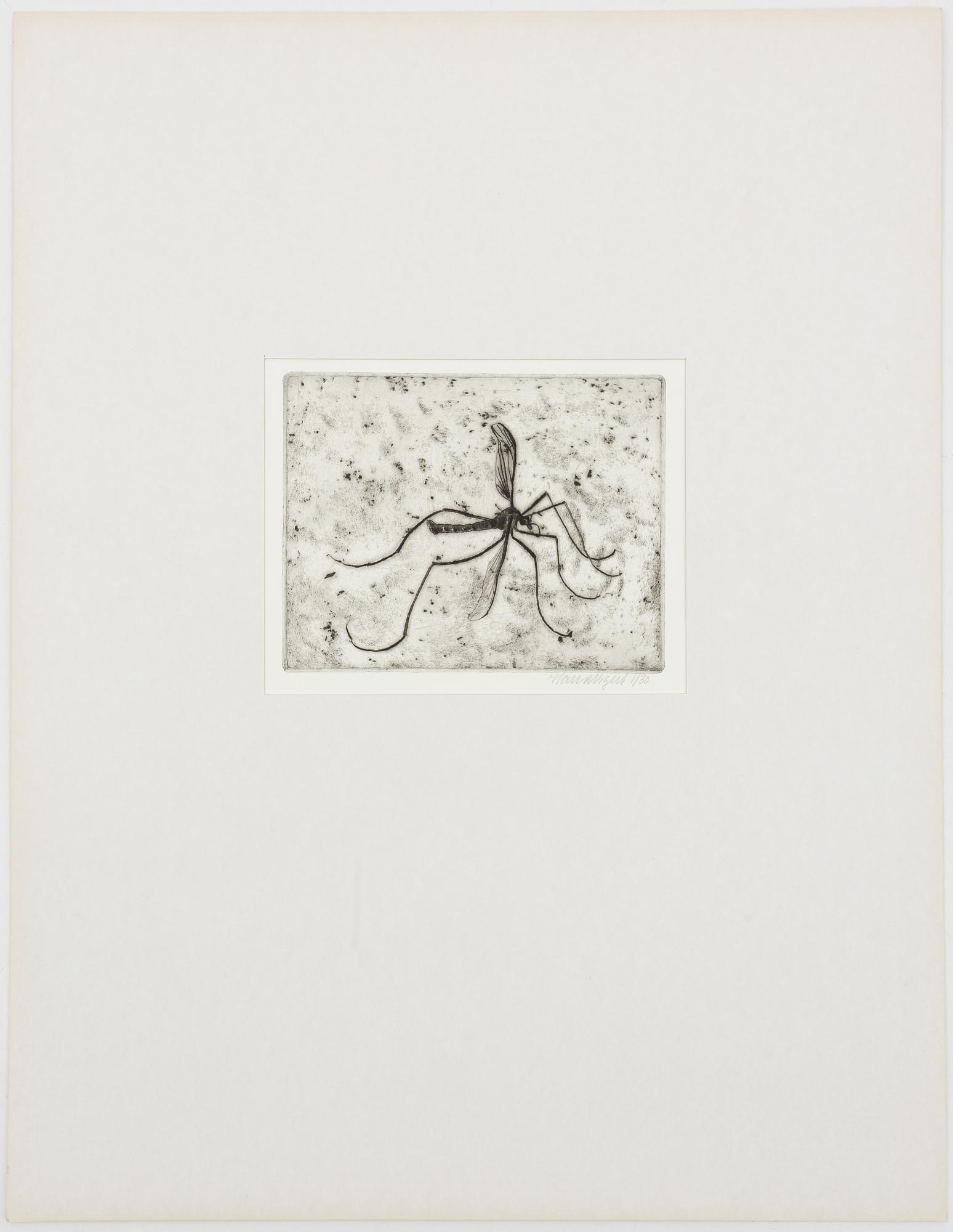 Hans Wigert, Mosquito.