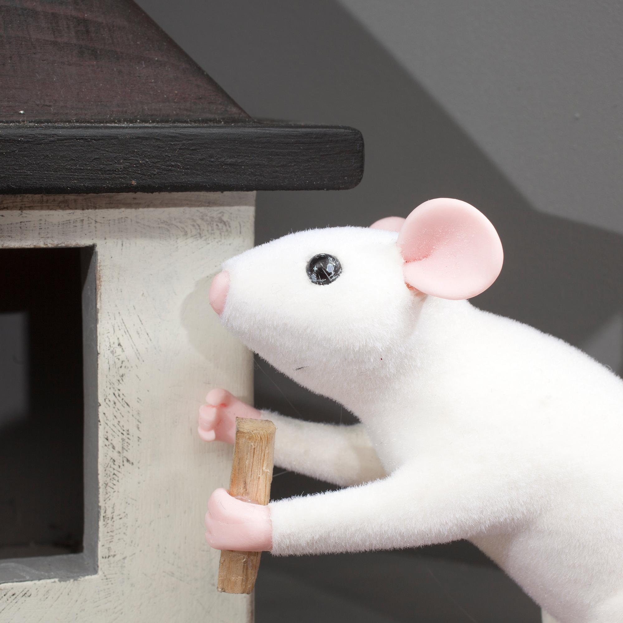 GOLVLAMPA MED MUS, NK 2013, JoAnn Tan Studio.