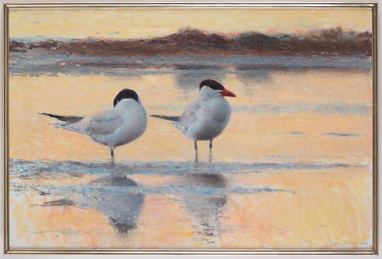 Lars Jonsson, Wading terns.