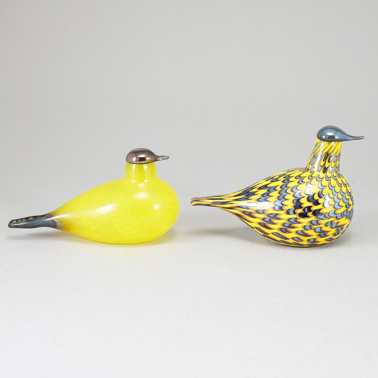 OIVA TOIKKA, två glasfåglar, Yellow Grouse (Keltariekko) 2014–2017, signerade O. Toikka, Iittala och Nuutajärvi.