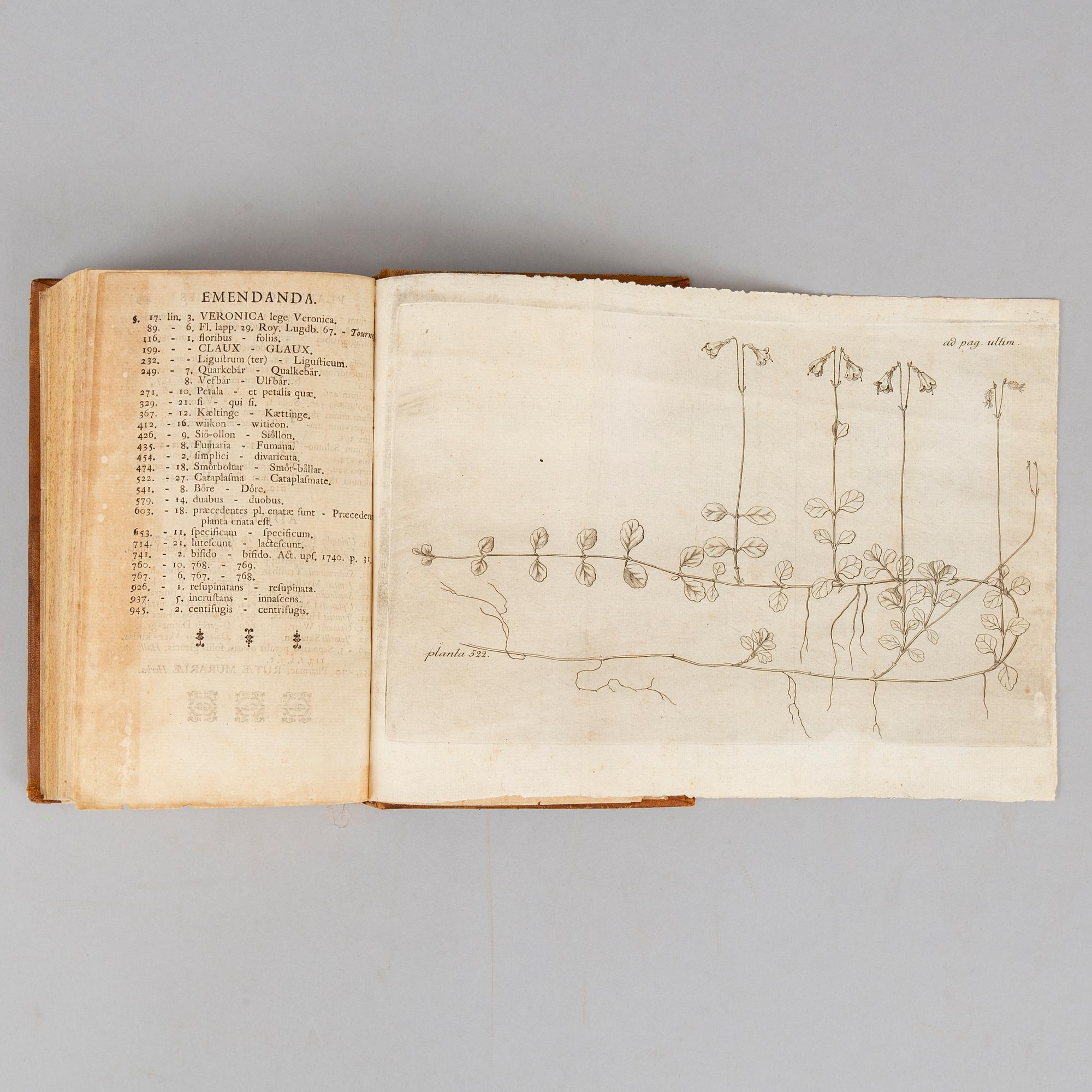 Flora svecica, with an engraved plate.